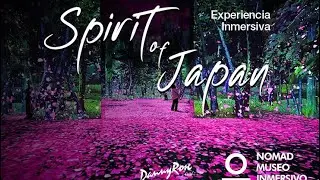 🌸 Spirit of Japan 🇯🇵 - Museum Nomad Madrid