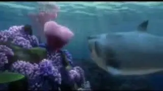 Shark tickle