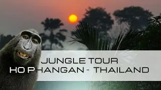 Jungle Tour on Koh Phangan with Manny