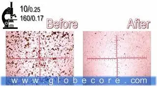 Paint Pigments Dispersion