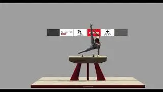 Pommel Trainer and Pommel-less Horse Progressions