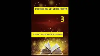 Рассказы из интернета 3. Аудиокнига. Читает Александр Воробьев.