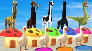 5 Giant Duck, Tiger, Cow, Mammoth Elephant, Gorilla, Dinosaur Transfiguration funny animal 2024