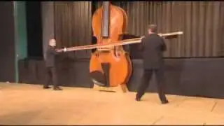 Guinness Book of World Records Presents The Largest Violin