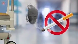STOP Smoking | Animated Green Screen
