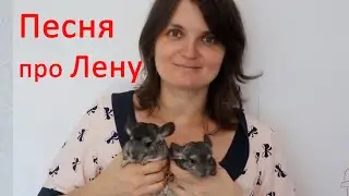 ВРЕДИНА ЛАЙФ | ОБЗОР ВЛОГОВ | 