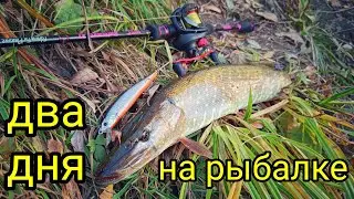 ДВА ДНЯ НА РЫБАЛКЕ !!! ВСЁ - ТАКИ Я НАШЁЛ ЩУКУ !!!  ЛОВЛЯ ЩУКИ НА ВОБЛЕРЫ !!!