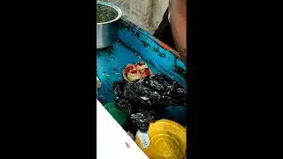 पानीपूरी challenge .14 year old boy selling panipuri ।#panipuri #panipurichallenge #golgappa