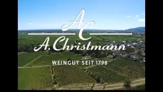 Christmann weingut,GERMANY. VINEYARDS AND DRONE
