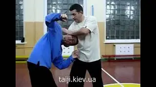 Чень ши И лу Разбор  первой формы и боевого применения Ч2