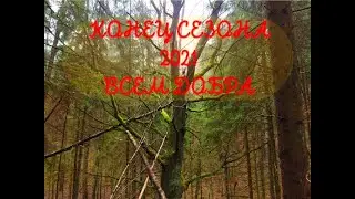 Закончили сезон 2021  История о кладах