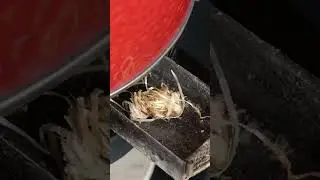 🔴 Pro tip for BBQ in the winter! 