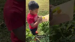 Live in a City? Take you Children in nature often to embark their Growth