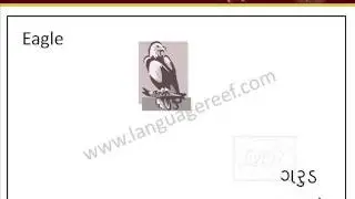 Learn Gujarati birds