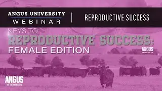 Female Reproductive Success | WEBINAR - Dec. 13, 2022 - Dr. Bob Larson