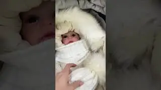 Детский комплект 4в1