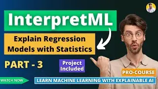 InterpretML with Statistics | Explainable AI (XAI) | Data Science Machine Learning Project Python