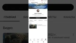 косвенные доказательства инсценировки. Ирина Костылева. группа националисток.