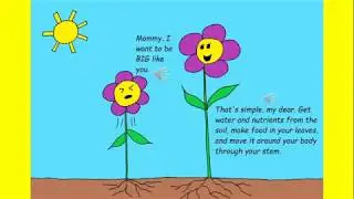 Plant Stories