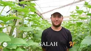 Salah F1 / AGRO EXPORT GROUP