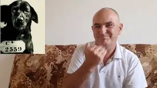 Интересно знать! #ржя #deaf