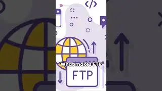 FTP Protocol Unveiled
