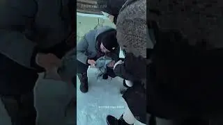 Башҡортлоҡ...