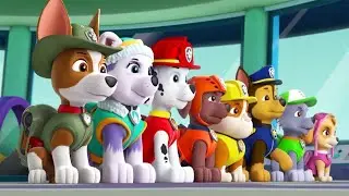 PAW Patrol Tracker's Jungle Rescue Gameplay