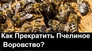 №43 Как Прекратить Пчелиное Воровство? .Эксперемент. Пчеловодство. Пасека.