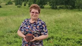 За ЛЕСНОЙ ягодой. Набрали!