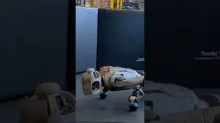 Boston Dynamics Humanoid Robot Doing Pushups Better Than Humans #robotics #autonomousrobot