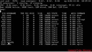 FreeBSD Nginx Web Server Setup