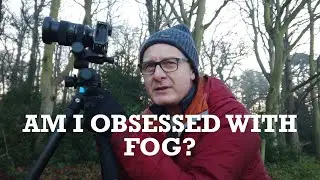 An Avenue of Trees : How hard can it be? : Woodland Photography