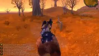 The Moon Brooke - World of Warcraft