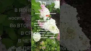 1 августа 2024 г. Эзотерика