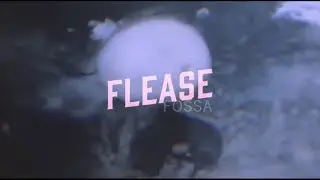 Flease - Fossa