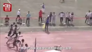 Random dog enters hooman race and comes in 3rd
