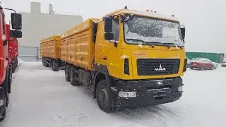 28 ноября 2023 г.