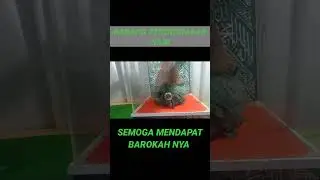 barang peninggalan nabi #shorts