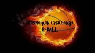 Diamond Lakes vs Tobacco Rd #MannequinChallenge Basketball Style by PS Entertainment