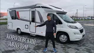 THE KING'S CAMPERHOME. A REVIEW OF THE BUERSTNER LYSEO T 734