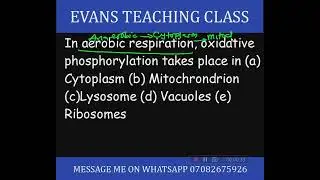 Respiration #evansteachingclass