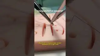СКОЛЬКО УЧАТСЯ ХИРУРГИ? | SCALPEL.MED 
