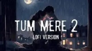 TUM MERE 2 - ( lofi version ) | Triggered Insaan | New Song 2024 #tummere2