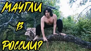 КНИГА ДЖУНГЛЕЙ + Маугли. Обзор для детей 0+