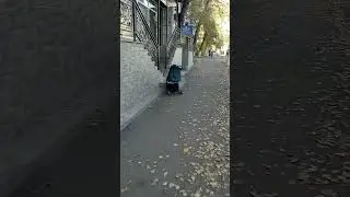 Дорога с Работы Домой пешком