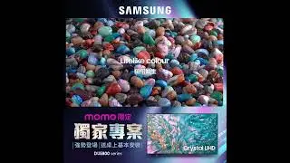 2024 Samsung 65DUE800