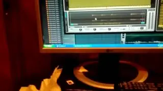 How sample using direct wave on FL studio