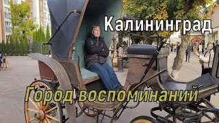 Калининград, до свидания!