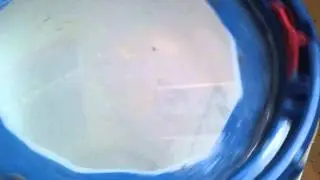 Humane chicken killing.